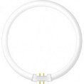 /album/produtos/t5-circular-jpg/